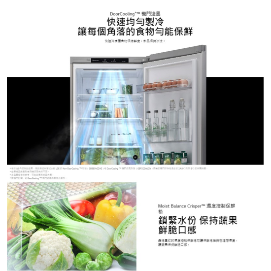 LG M312MC13 變頻 雙門雪櫃 LG M312MC13 變頻 雙門雪櫃