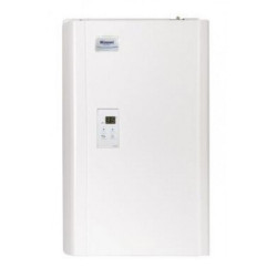 RINNAI 林內 RJ15SDL 石油氣式恆溫熱水爐